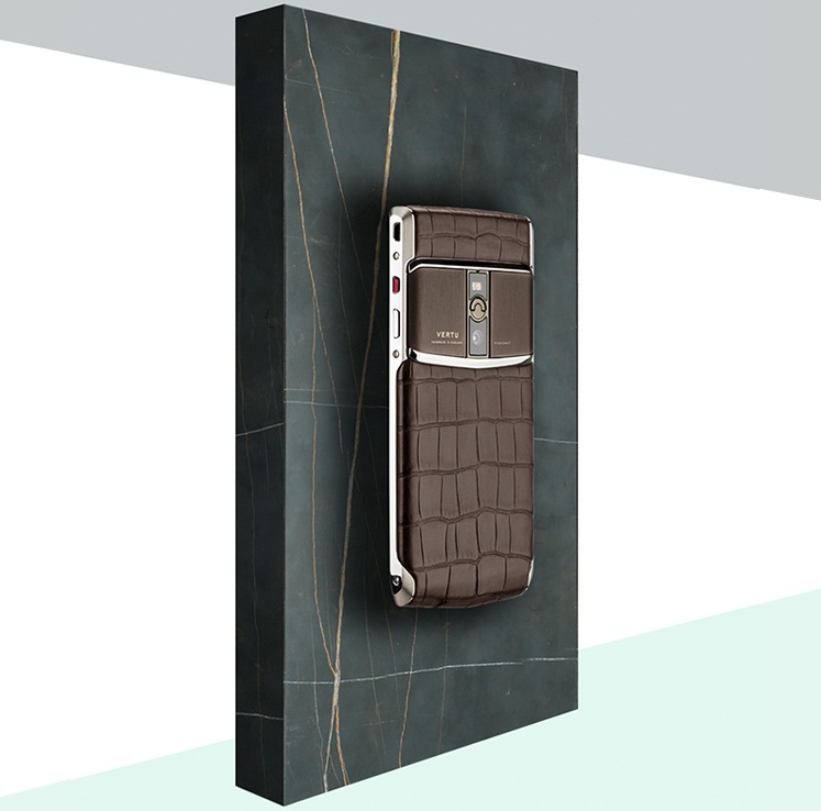 c15-cocoa-alligator.jpg